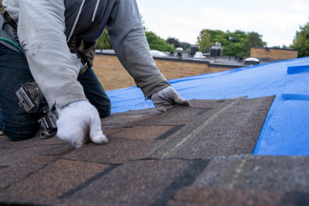 Best Storm Damage Roof Repair  in Gunbarrel, CO